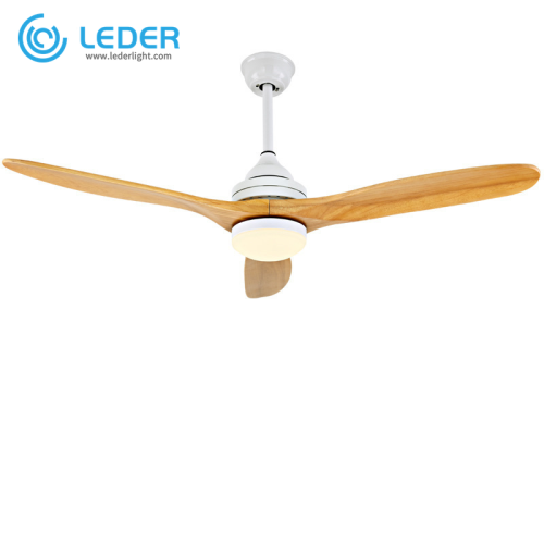 LEDER Electric Modern Lamp Fan