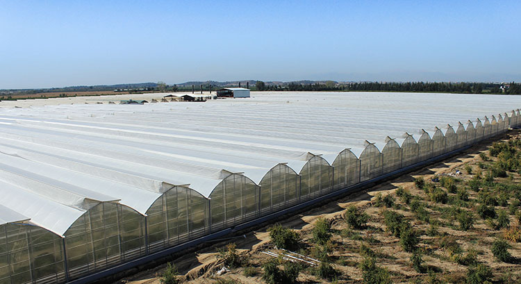 pc-multi span greenhouse