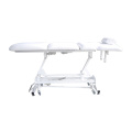 Wholesale White Electric Facial Bed TS-2120