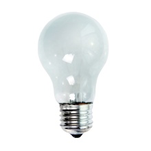 60W 230V Incandescent Clear Bulbs