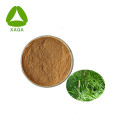 Equisetum Arvense Extract Powder sílice 7% UV