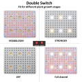 3000w Plant Grow Light Veg & Flowering Spectrum