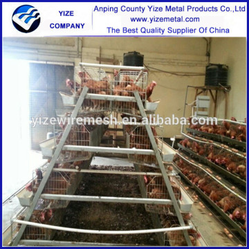 poultry battery cage system ghana for Tanzania Uganda poultry farm (best seller in africa)