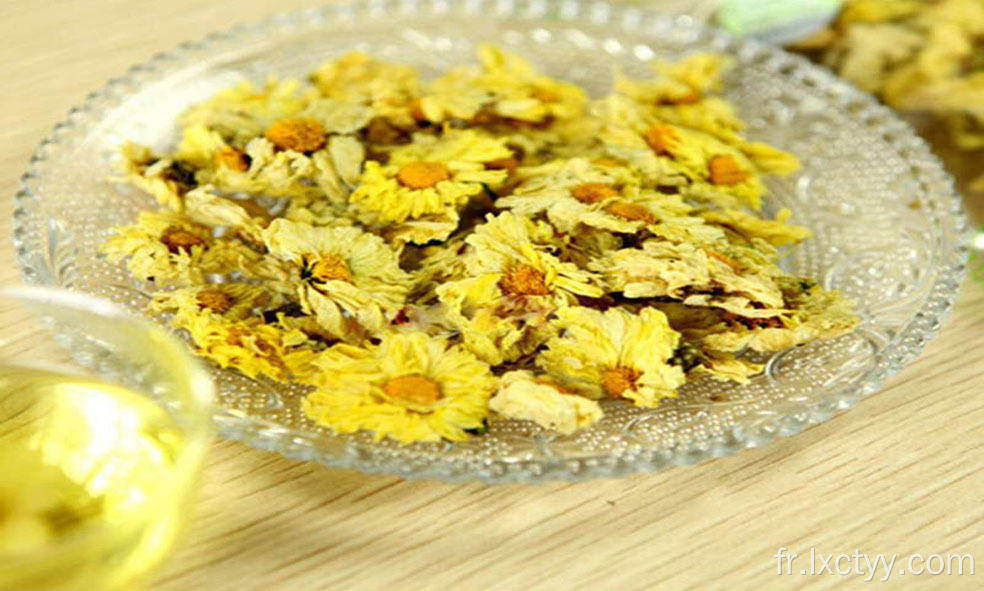 prix chrysanthème fleur coupée