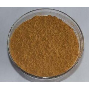 Kelp extract laminarin kelp powder feed grade