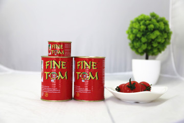 Gino Paste De Tomate Canned Tomato Paste