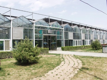 Venlo glass house