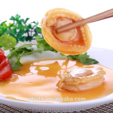 425g Canned Mandarin Abalone in water