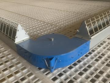 poultry female chain feeding