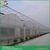 Arch roof type polycarbonate greenhouse uv coating polycarbonate sheet greenhouse