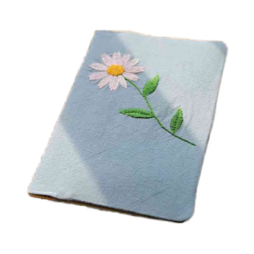 Little Daisy: A Charming Book Cover