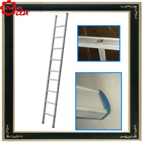 Aluminum Single Ladder (CQX1609)