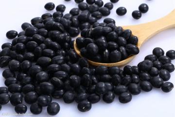 Small black beans for export