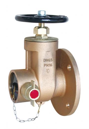 BS Dry Riser Landing Valve