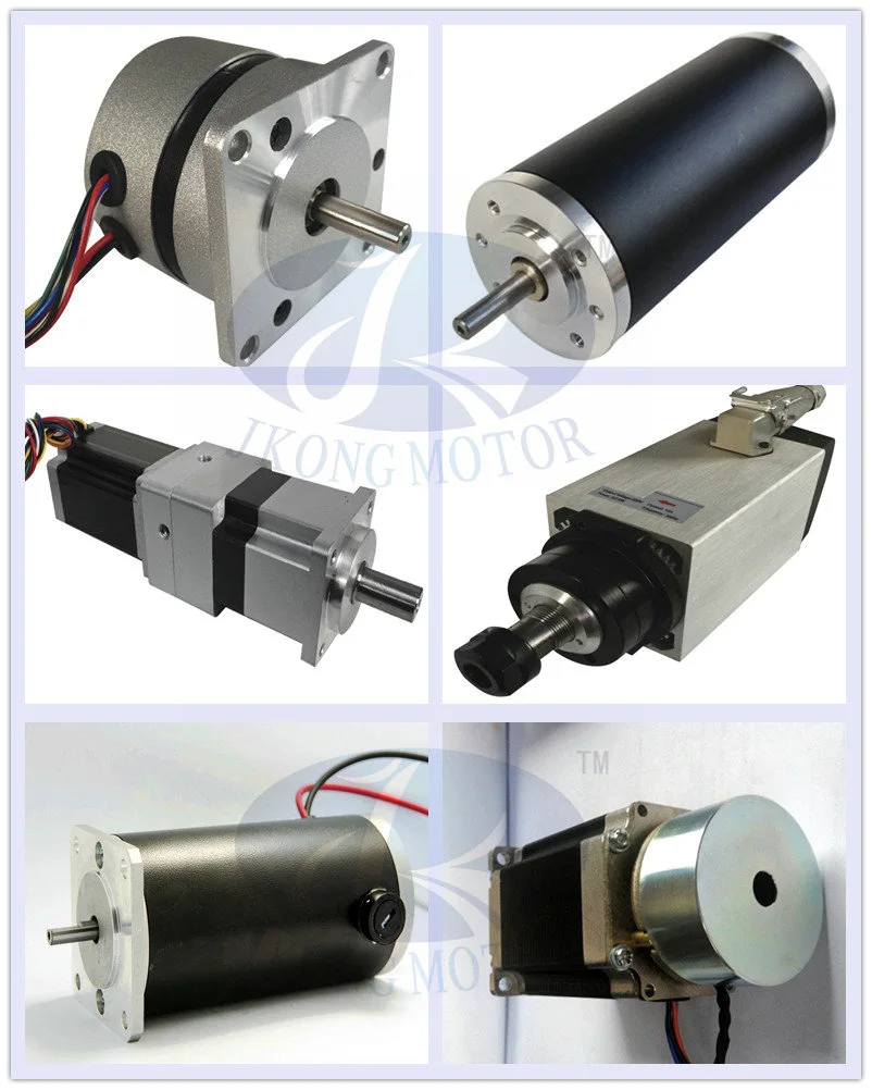 57mm Brushless DC Motor 57bls005 36V Micro Motor