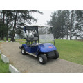 Goedkope golf buggy voertuig te koop