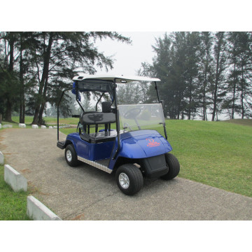 Véhicule de golf buggy pas cher à vendre