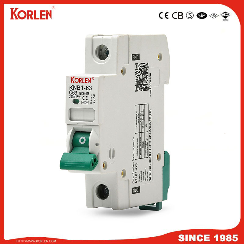 DZ47 Type Mini Circuit Breaker Silver Contact 6Ka