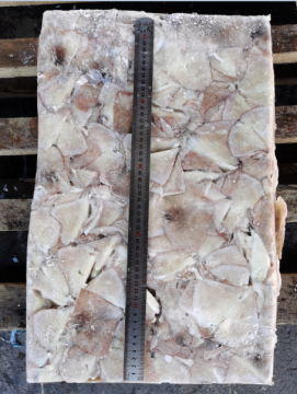 Frozen Squid Leftover Wing Illex Argentinus Cutting