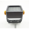 Outdoor LED Flood Light RGBW