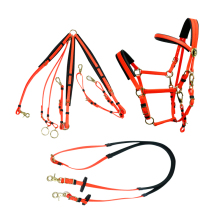 China Factory Manufacturer Durable Western Horse Equipment Set for Equestrian Endurance - Red & Blue Girth and Headstall