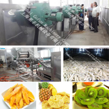 dried mango machine/production line