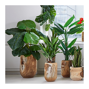 Linwoo Artificial Olive Oil Hydrangea Tree - Indoor/Outdoor Home Decor