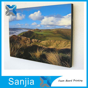 Hot Sale Foam Board Printing for Advertising Poster