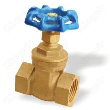 PN20 USA Gate Valves 13mm