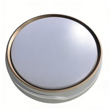 LED ceiling light for indoor style