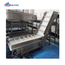 Plastic Modular Belt Incline Conveyor for Food Industry