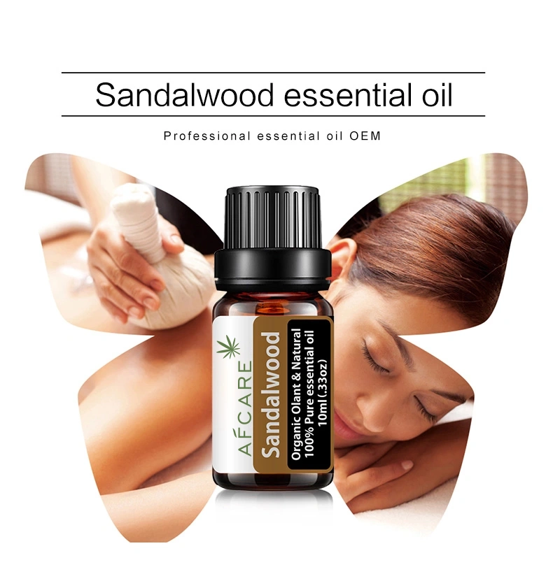 Manufacture Supply 100% Pure Plant Extracts Sandalwood Plant Essential Oil