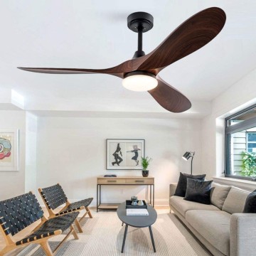 Lighted Wooden Ceiling Fan