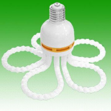 Daylight CFL  light bulbs