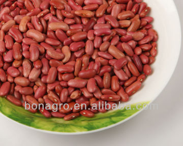 Light red kidney bean