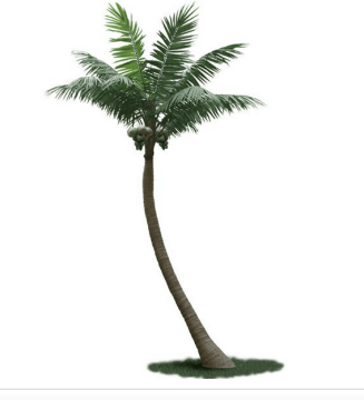 Artificial Coconut Palm Trees for Outdoor Royal Palm Decoration