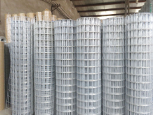 3/4'' Electro Galvanized After Welded Wire Mesh