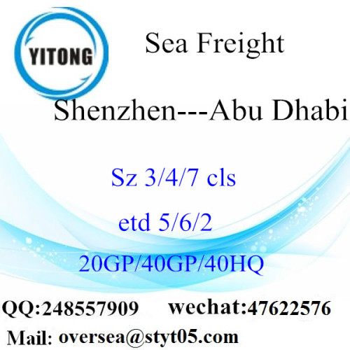 Shenzhen Port Sea Freight Shipping para Abu Dhabi