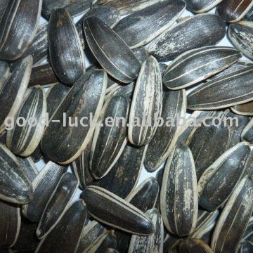 Sunflower Seeds,Black Sunflower Seeds