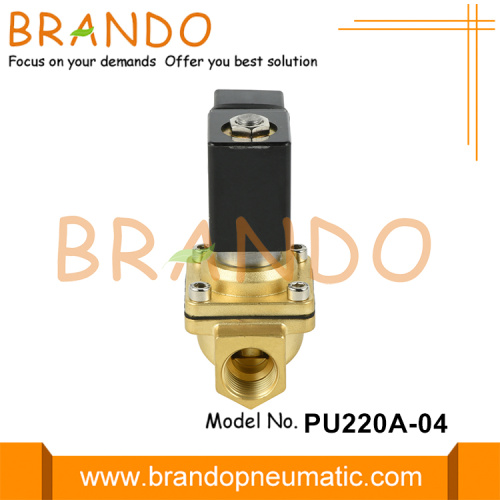 PU220A-04 Shako Tipi Pirinç Solenoid Valf 1/2 &#39;&#39; 220VAC