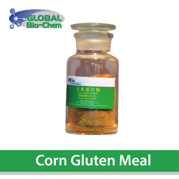 ပြောင်းဖူး Gluten Bust အစာကျွေးသည်
