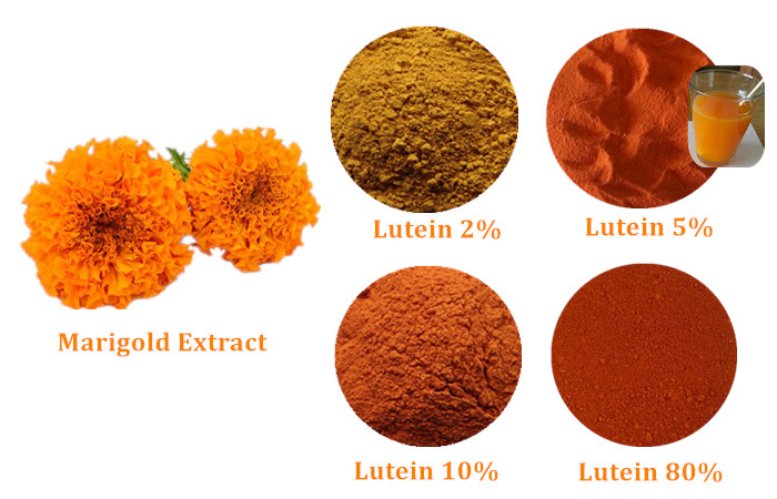 Lutein