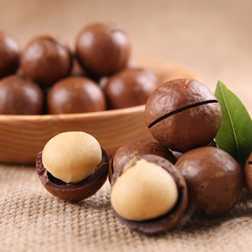 Roasted Macadamia Nuts With Milk Flavor
