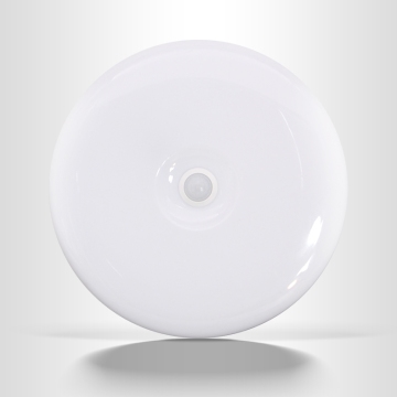 Sound and light control ceiling lamp