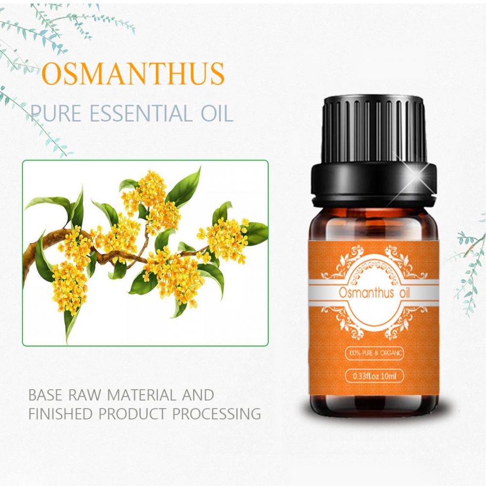 Etichetta privata Osmanthus Olio essenziale al 100%puro per la pelle