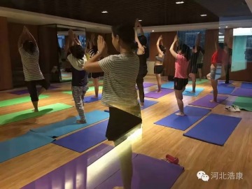 PVC Vinyl Gym Floor Cover Sheet