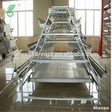 A type egg layers cage design chicken cages for laying hens MJ chicken cage