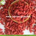 Untuk Jual Nutrisi Natural Konvensional Goji Berry