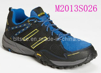 Popular Sporting Shoes (M2013S026)