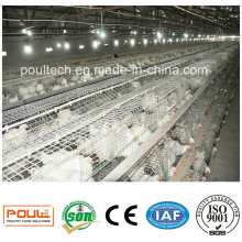 Poultry Farm Cage System Automatic Broiler Cage Equipment